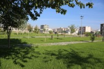 Cizre'de Park Yapım Çalışmaları Haberi