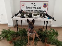 İzmir'de Uyuşturucu Operasyonu Açıklaması 21 Şüpheli Gözaltında