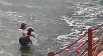 Kıyafetleri İle Denize Girip Köpeği Boğulmaktan Kurtaran Veteriner Hekim Konuştu Açıklaması Haberi