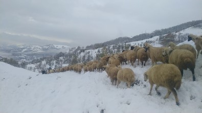 Tunceli'de Kar Yağışı