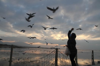 Beyşehir Gölü Kuş Cennetine Döndü