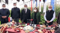 Gaziantep'te Tırın Dorsesinde Çıkan Yangın Söndürüldü Haberi