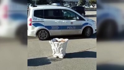 Kars'ta Başıboş Köpekler 14 Kuzuyu Telef Etti