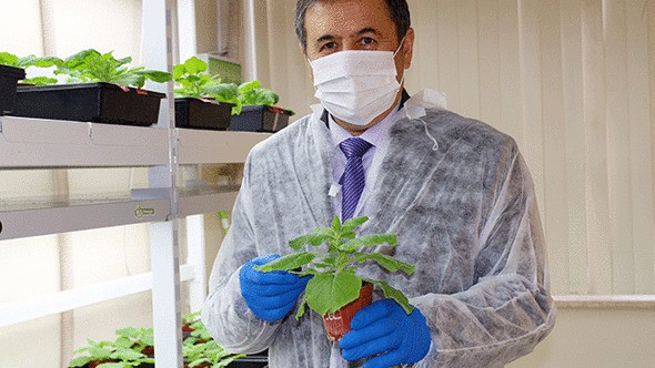 Koronavirüste müjde Antalya'dan geldi! Kritik bitkisel enzimi üretmeyi başardık