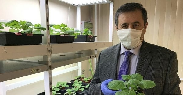 Koronavirüste müjde Antalya'dan geldi! Kritik bitkisel enzimi üretmeyi başardık