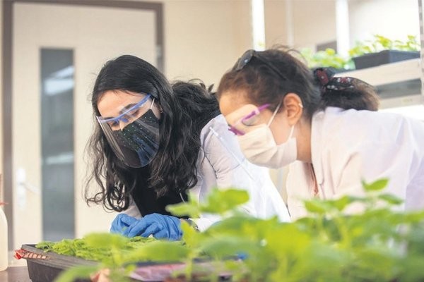 Koronavirüste müjde Antalya'dan geldi! Kritik bitkisel enzimi üretmeyi başardık