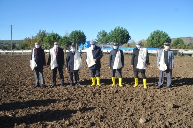 Bafra'da Yerli Atalık Tohum Toprakla Buluştu