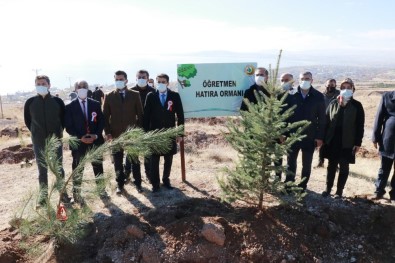 Ahlat'ta 'Öğretmen Hatıra Ormanı' Oluşturuldu