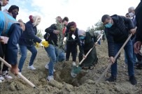 Hatay'da Cinayete Kurban Giden Kadınlar İçin Fidan Dikildi