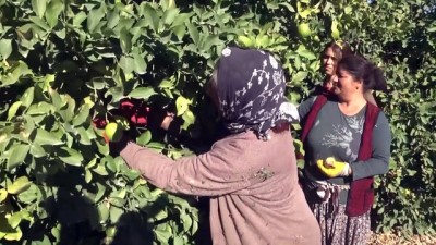 Mersin'de Kumar Oynarken Yakalanan 11 Kişiye 56 Bin Lira Ceza Verildi