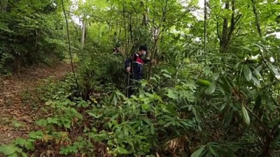 Kastamonu'da Kovid-19 Tedbirlerine Uymayan 46 Kişiye Para Cezası