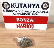 Kütahya'da Bir Şüphelinin Üzerinde Bonzai Ele Geçirildi