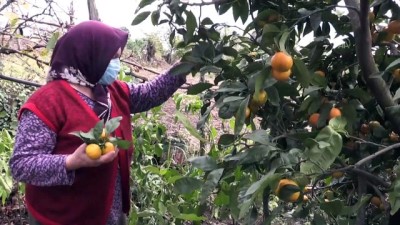 Ordu'da Farklı Tarihlerde 8 Kişiyi Öldürdüğü İddia Edilen Sanık Yargılanıyor