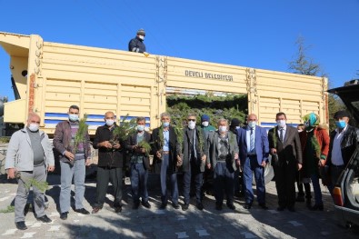 Develi'de 50 Bin Fidan Dağıtıldı