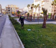Didim'de Park Bahçeler Müdürlüğü Çalışmalarını Sürdürüyor Haberi