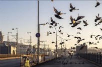 Sokağa çıkma yasağı ne zaman başlıyor?