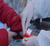 Bartın'da Korona Virüs Vakaları İçin Bileklik Takma Uygulaması Başlatıldı
