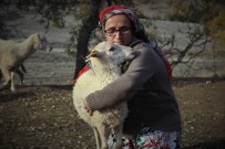 Dağlarda Kadın Başına 150 Koyununa Çobanlık Yapıyor Haberi