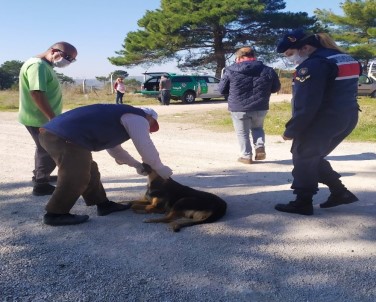 Terk Edilen Köpeklere Jandarma Sahip Çıktı