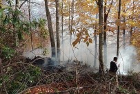 Düzce'de Orman Yangını 3 Saatte Söndürüldü Haberi