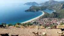 Muğla'nın Turistik İlçelerinde Sahillerde Güneşli Hava Yoğunluğu