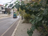 Serdivan'da Kışa Hazırlık Çalışmaları