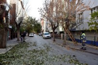 Tepebaşı'nda Ağaçlar Budanıyor