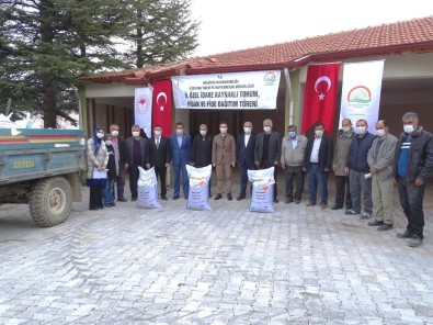 Hisarcık'ta Çiftçilere 6 Bin 400 Kilo Macar Fiğ Tohumu Dağıtıldı