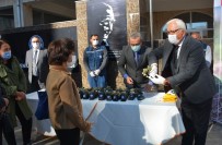 Kdz. Belediyesi 2 Bin 500 Osmanlı Çileği Fidesi Dağıttı