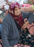 Mantar Toplamayan Giden Yaşlı Kadın Dağda Kayboldu