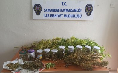 Samandağ'da Uyuşturucu Operasyonu Açıklaması 1 Gözaltı