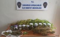 Samandağ'da Uyuşturucu Operasyonu Açıklaması 1 Gözaltı Haberi
