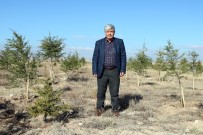 20 Yılda 200 Bin Fidan Dikti, 20 Orman Oluşturdu