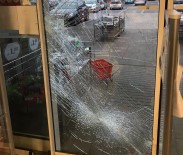 Almanya'da Mağazaya Dalan Yaban Domuzu Paniğe Neden Oldu