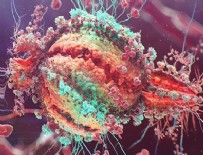 Bu virüs 12 ile 18 ayda öldürüyor!