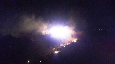 Burhaniye'de Sazlık Yangını Korkuttu