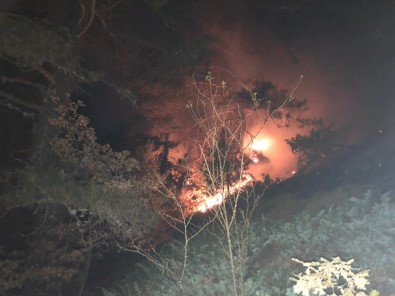 Kastamonu'daki Orman Yangını Yerleşim Yerlerini Tehdit Ediyor