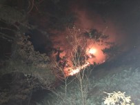 Kastamonu'daki Orman Yangını Yerleşim Yerlerini Tehdit Ediyor Haberi