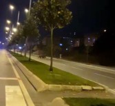 Kısıtlamada İnsanlar Evdeyken Sokaklar Ona Kaldı