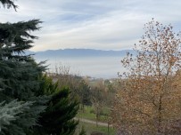 Renk Cümbüşü İle Buluşan Sis Kartpostallık Görüntüler Oluşturdu