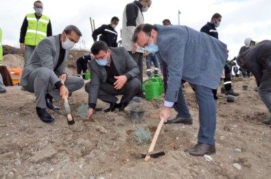 Emet'te 6 Bin 500 Fidan Toprakla Buluştu