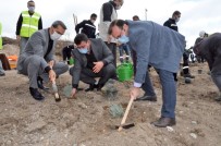 Emet'te 6 Bin 500 Fidan Toprakla Buluştu