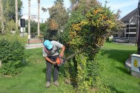 Erdemli'de Çevre Düzenlemesi