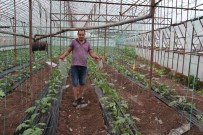 Kumluca'da Fırtına Sonrası Arazi Hasar Tespiti Çalışmaları Tamamlandı Haberi