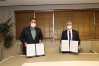 Şahinbey'de 15 Bin Adet Fidan Dikilecek