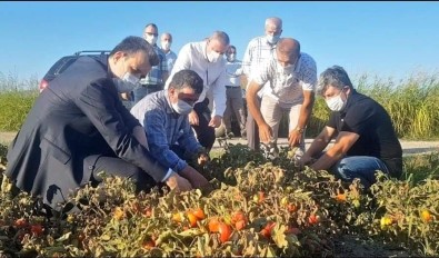 Esgin'den Çifçiye Ödeme Müjdesi