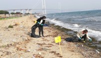 Hersek Plajına Kirlilik İzleme Programı Haberi