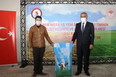 Samsun'da Çiftçilere 65 Bin 400 Kilo Yem Bitkisi Tohumu Dağıtıldı