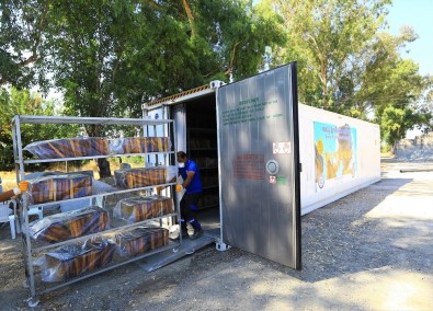 Büyükşehir 50 Bin Petek Şokladı