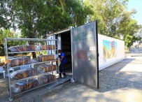 Büyükşehir 50 Bin Petek Şokladı